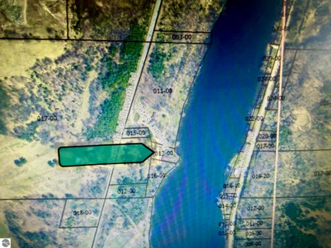 Tiny photo for 8614 Pete's Landing, Ellsworth, MI 49729 (MLS # 1946376)