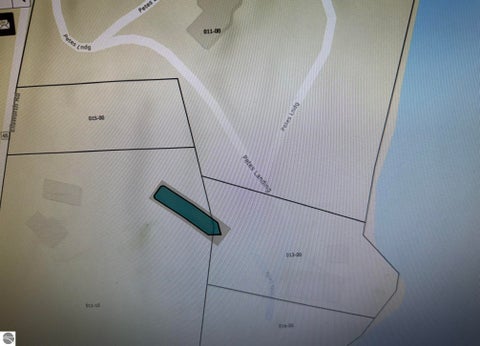 Tiny photo for 8614 Pete's Landing, Ellsworth, MI 49729 (MLS # 1946376)