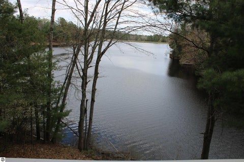 Tiny photo for 6341 Eagles Nest CT, Alger, MI 48610 (MLS # 1945575)
