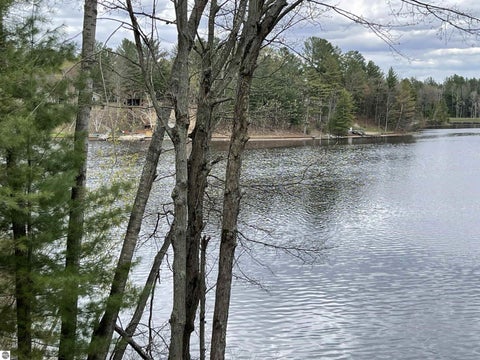Tiny photo for 6341 Eagles Nest CT, Alger, MI 48610 (MLS # 1945575)