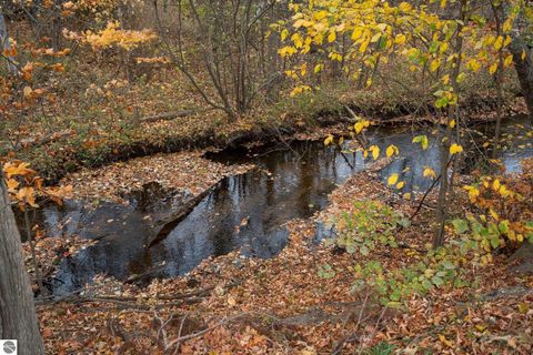 Tiny photo for 4255 E Spencer Road, Kalkaska, MI 49646 (MLS # 1930663)