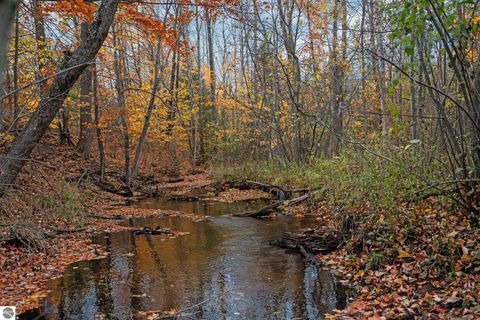 Tiny photo for 4255 E Spencer Road, Kalkaska, MI 49646 (MLS # 1930663)