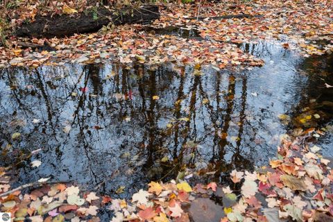 Tiny photo for 4255 E Spencer Road, Kalkaska, MI 49646 (MLS # 1930663)