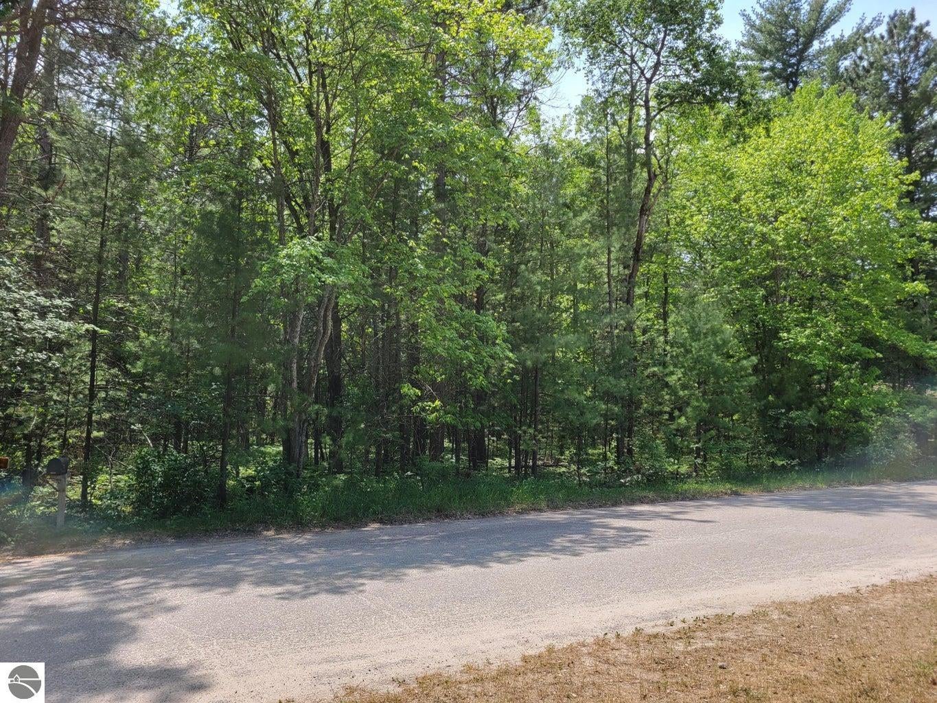 Photo 1 of 9 — Helen Drive, Grayling, MI 49738