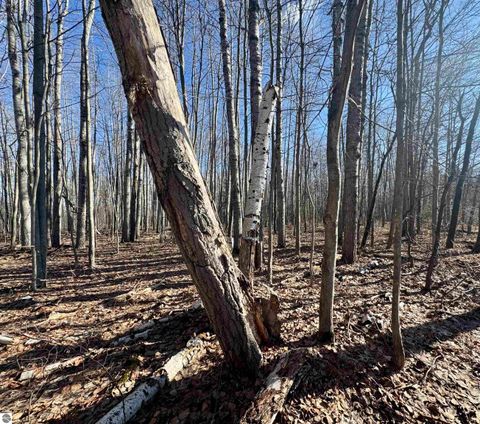 Tiny photo for 5810 Whittemore Road, Whittemore, MI 48770 (MLS # 1942857)