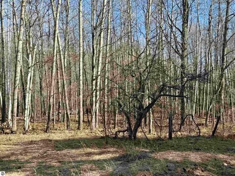 Tiny photo for 5810 Whittemore Road, Whittemore, MI 48770 (MLS # 1942857)