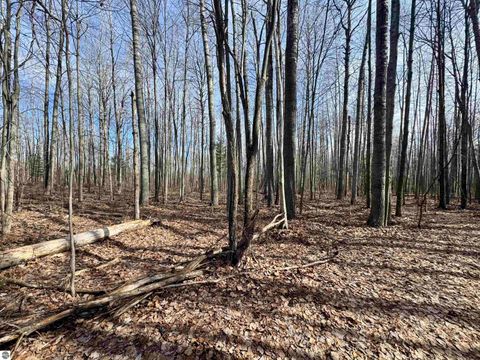 Tiny photo for 5810 Whittemore Road, Whittemore, MI 48770 (MLS # 1942857)