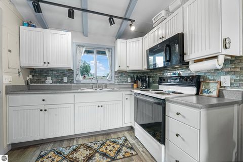 Tiny photo for 9301 E 50 Road, Cadillac, MI 49601 (MLS # 1942906)