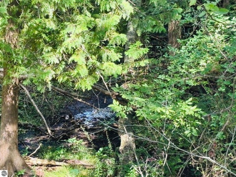 Tiny photo for 705 Pine ST, Bellaire, MI 49615 (MLS # 1950291)