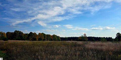 Tiny photo for 303 Westwood Road, Nw, Alden, MI 49612 (MLS # 1940910)