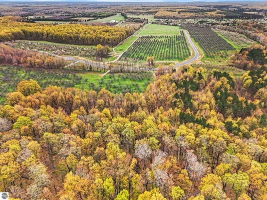 PARCEL 14 KARNES ROAD, GLEN ARBOR, MI 49630 - Image 948e681e6d04c0f9e4df3aab2a2bf0ba/4201913411