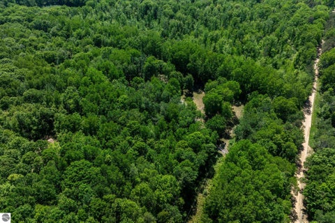 Tiny photo for 4377 W Adams Road, Lake, MI 48632 (MLS # 1946163)