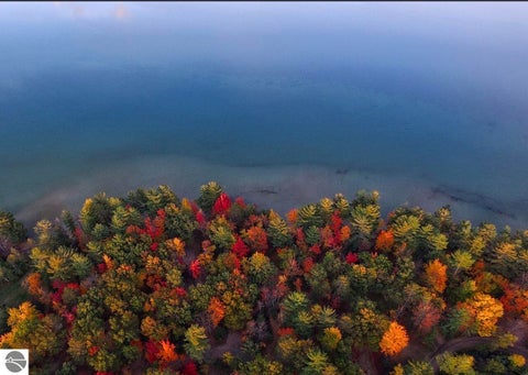 Tiny photo for 9402 Battalion Boulevard, Grayling, MI 49738 (MLS # 1948506)