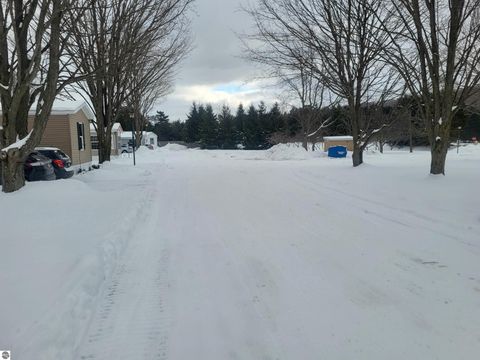 Tiny photo for 9226 Elsie Avenue, Bear Lake, MI 49614 (MLS # 1940991)