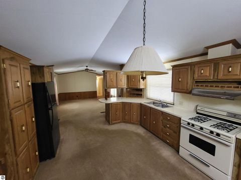 Tiny photo for 9226 Elsie Avenue, Bear Lake, MI 49614 (MLS # 1940991)