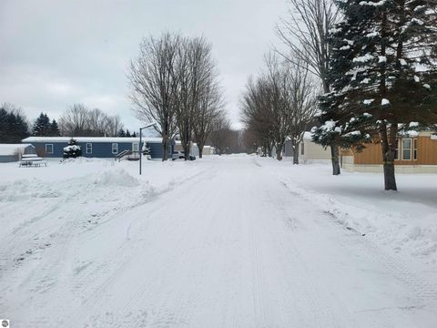 Tiny photo for 9226 Elsie Avenue, Bear Lake, MI 49614 (MLS # 1940991)