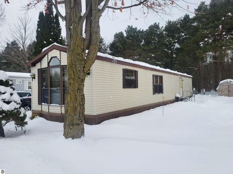 Tiny photo for 9226 Elsie Avenue, Bear Lake, MI 49614 (MLS # 1940991)