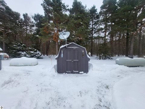 Tiny photo for 9226 Elsie Avenue, Bear Lake, MI 49614 (MLS # 1940991)