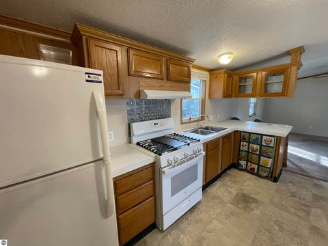 Tiny photo for 310 Kristy Jo Street, Cadillac, MI 49601 (MLS # 1948168)