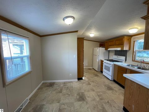 Tiny photo for 310 Kristy Jo Street, Cadillac, MI 49601 (MLS # 1948168)