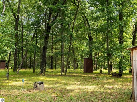 Tiny photo for 3815 Joseph Street, Wellston, MI 49689 (MLS # 1943618)