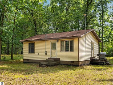 Tiny photo for 3815 Joseph Street, Wellston, MI 49689 (MLS # 1943618)