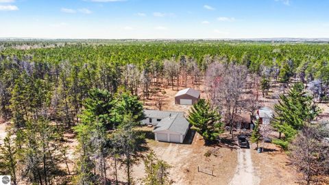 Tiny photo for 9840 S Parrott Circle SE, Fife Lake, MI 49633 (MLS # 1944416)