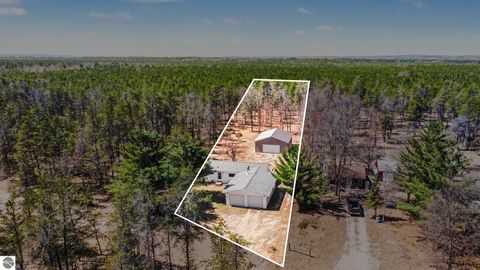 Tiny photo for 9840 S Parrott Circle SE, Fife Lake, MI 49633 (MLS # 1944416)