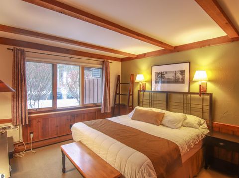 Tiny photo for 7825 #446-447 Washtenaw Drive, Thompsonville, MI 49683 (MLS # 1941529)