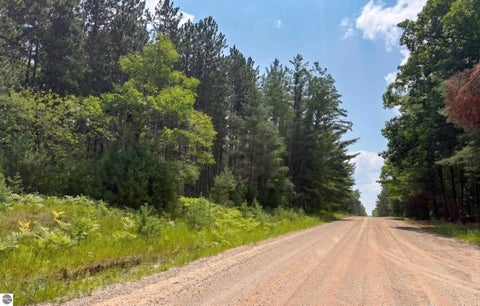 Tiny photo for 13276 S Sharon Road, SE RD, Fife Lake, MI 49633 (MLS # 1948222)