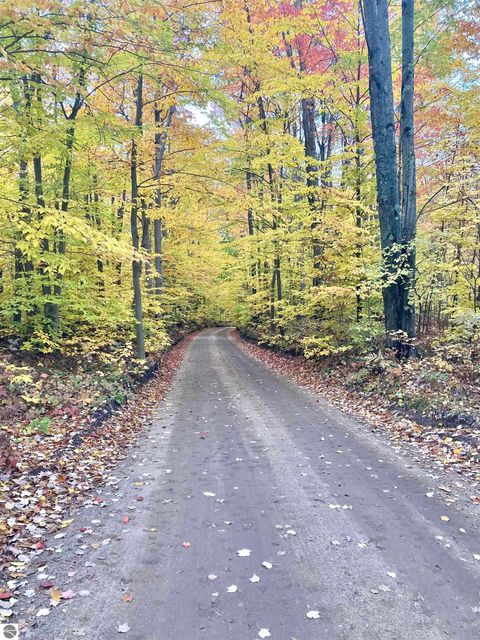 Tiny photo for 2255 Wenonah Trail, Lake City, MI 49651 (MLS # 1945175)