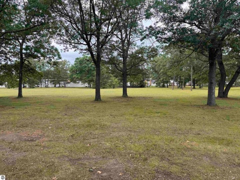 Tiny photo for 9316 Maryland Street #B, Oscoda, MI 48750 (MLS # 1949793)