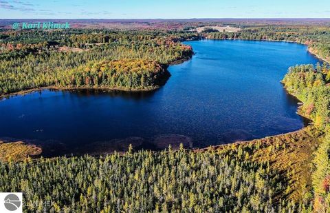 Tiny photo for 4328 N Shore Drive, Kalkaska, MI 49646 (MLS # 1945146)