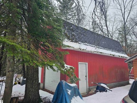 Tiny photo for 7243 East Drive, South Branch, MI 48761 (MLS # 1943695)