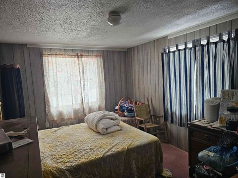 Tiny photo for 7243 East Drive, South Branch, MI 48761 (MLS # 1943695)