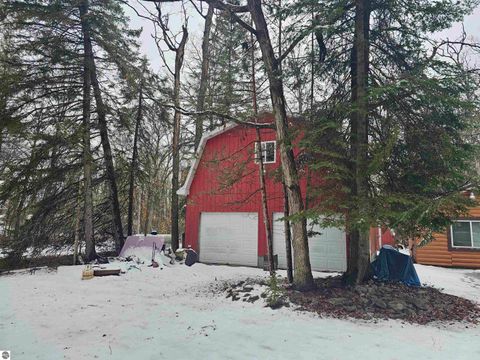 Tiny photo for 7243 East Drive, South Branch, MI 48761 (MLS # 1943695)