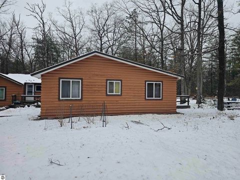 Tiny photo for 7243 East Drive, South Branch, MI 48761 (MLS # 1943695)