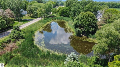 Tiny photo for 2511 Lott Avenue, Holt, MI 48842 (MLS # 1947691)