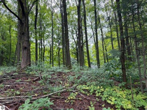 Tiny photo for 8299 W Walker Road, Manton, MI 49663 (MLS # 1950217)