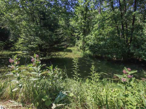 Tiny photo for 15651 Holly Drive, Thompsonville, MI 49683 (MLS # 1947966)