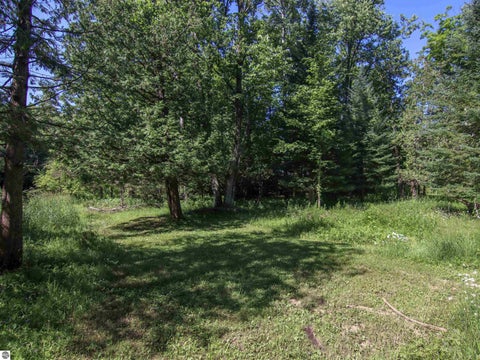 Tiny photo for 15651 Holly Drive, Thompsonville, MI 49683 (MLS # 1947966)