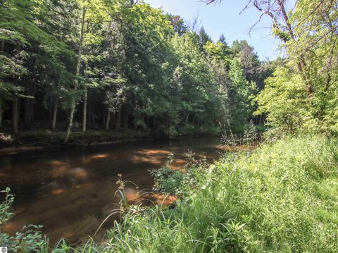 Tiny photo for 15651 Holly Drive, Thompsonville, MI 49683 (MLS # 1947966)