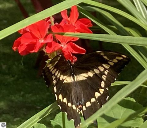 Tiny photo for 3400 N Sturgeon Road, Midland, MI 48640 (MLS # 1940918)