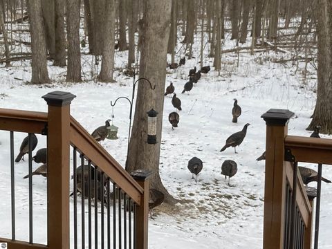 Tiny photo for 3400 N Sturgeon Road, Midland, MI 48640 (MLS # 1940918)