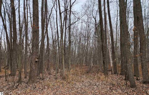 Tiny photo for 3400 N Sturgeon Road, Midland, MI 48640 (MLS # 1940918)