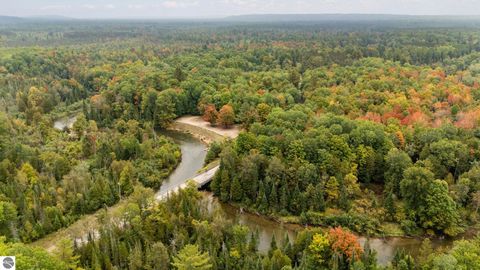 Tiny photo for 12525 SW Coster Road, Fife Lake, MI 49633 (MLS # 1943199)