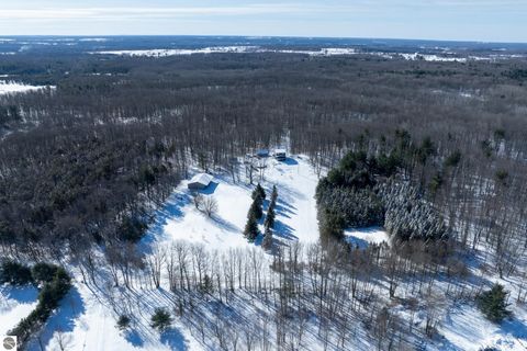 Tiny photo for 8555 11 Mile Road, Evart, MI 49631 (MLS # 1943021)