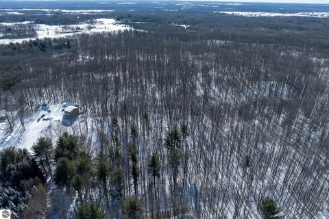 Tiny photo for 8555 11 Mile Road, Evart, MI 49631 (MLS # 1943021)