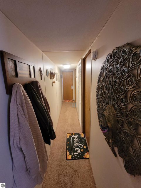 Tiny photo for 7361 Queens Court, Alma, MI 48801 (MLS # 1941455)