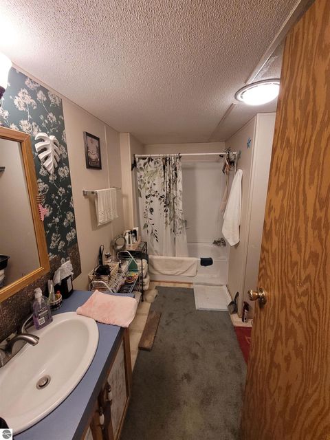 Tiny photo for 7361 Queens Court, Alma, MI 48801 (MLS # 1941455)